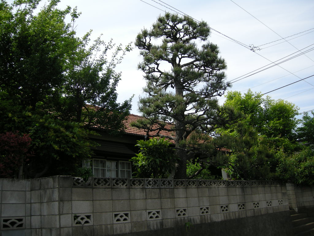 「小さいおうち」中島京子