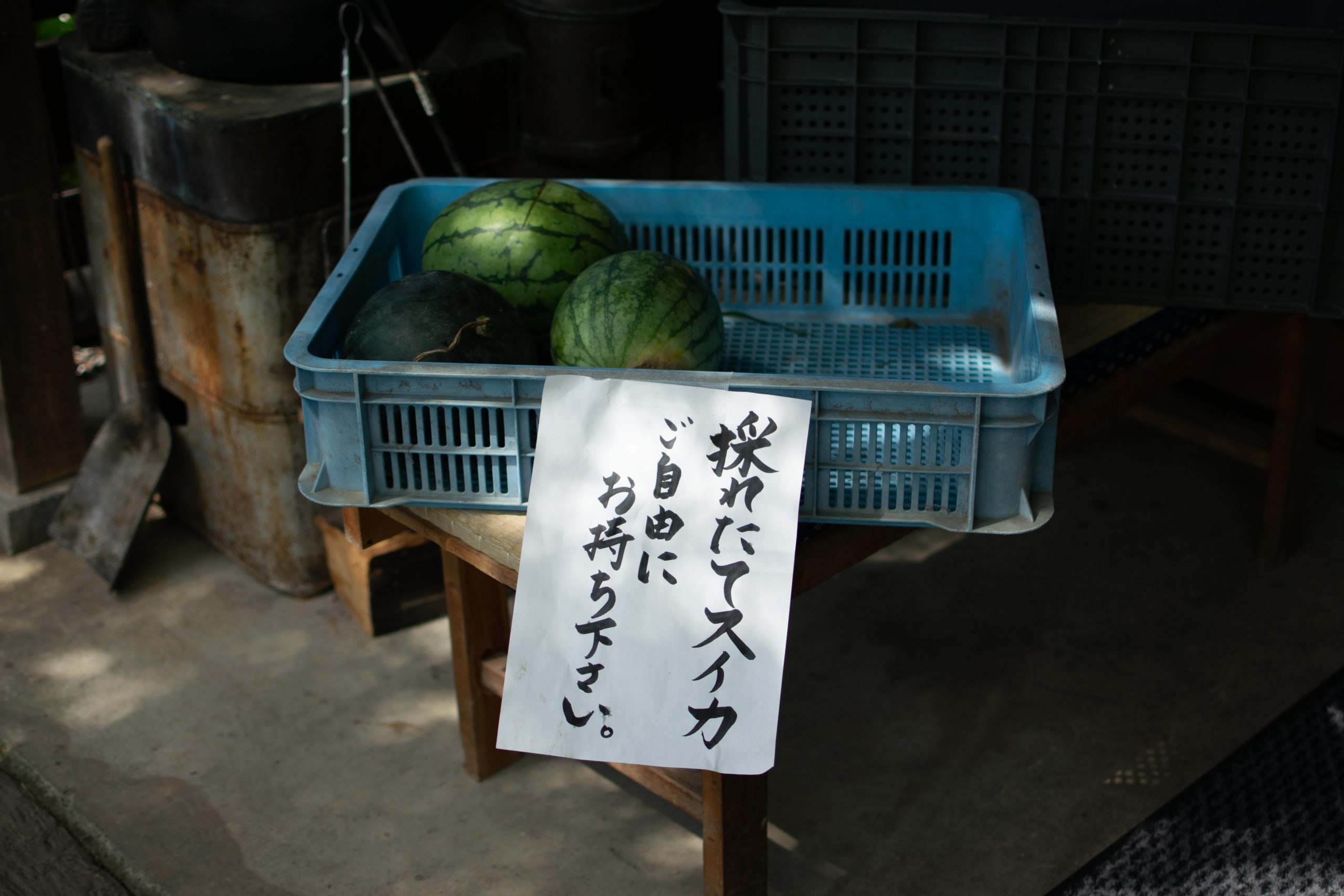 「西瓜糖の日々」R・ブローティガン